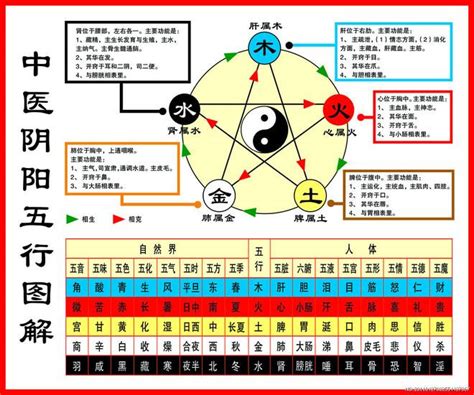 木水水|一分钟记住，五行相生相克。